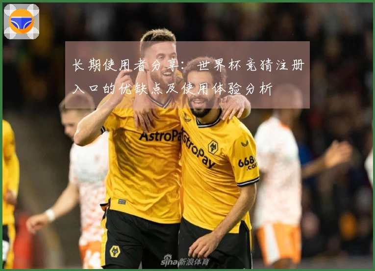 长期使用者分享：世界杯竞猜注册入口的优缺点及使用体验分析