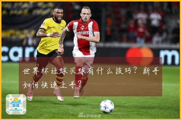 世界杯让球买球有什么技巧？新手如何快速上手？