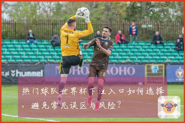 热门球队世界杯下注入口如何选择,避免常见误区与风险?