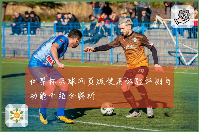 世界杯买球网页版使用体验评测与功能介绍全解析