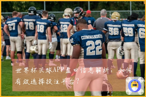 世界杯买球APP盘口信息解析，如何有效选择投注平台？
