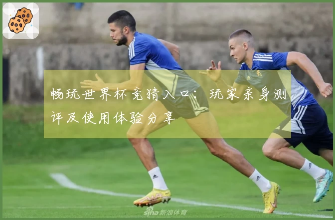 畅玩世界杯竞猜入口：玩家亲身测评及使用体验分享