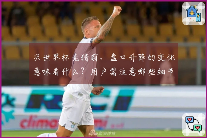 买世界杯竞猜前，盘口升降的变化意味着什么？用户需注意哪些细节？