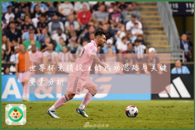 世界杯竞猜投注的成功思路与关键要素分析