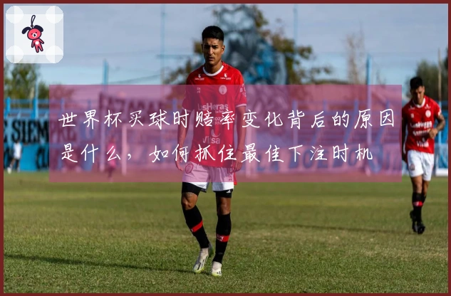 世界杯买球时赔率变化背后的原因是什么，如何抓住最佳下注时机