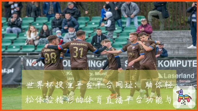 世界杯投注平台平台网址：助你轻松体验精彩的体育直播平台功能与使用指南