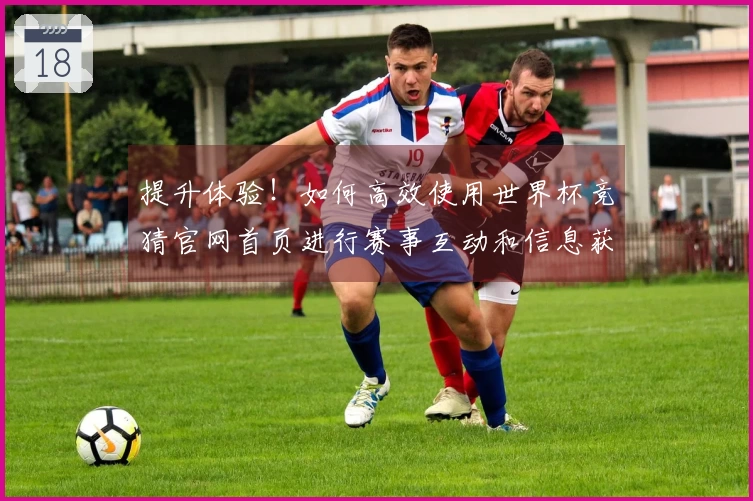 提升体验!如何高效使用世界杯竞猜官网首页进行赛事互动和信息获取