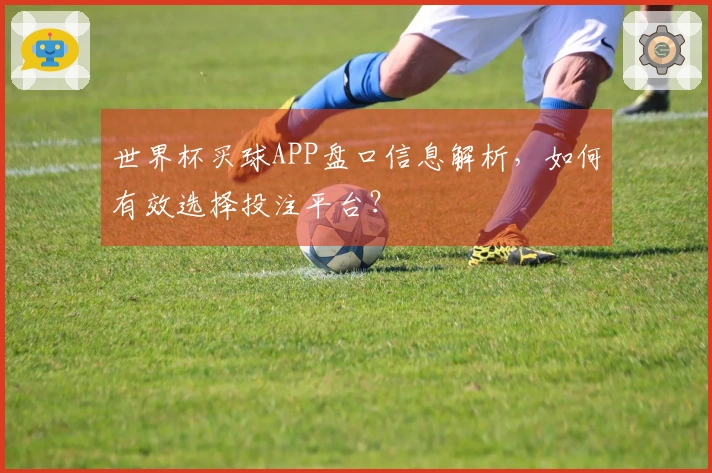 世界杯买球APP盘口信息解析，如何有效选择投注平台？