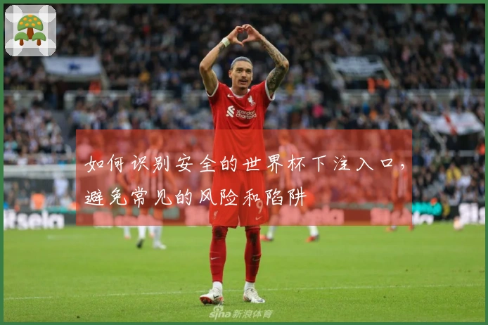 如何识别安全的世界杯下注入口，避免常见的风险和陷阱