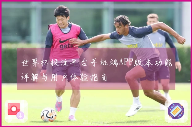 世界杯投注平台手机端APP版本功能详解与用户体验指南