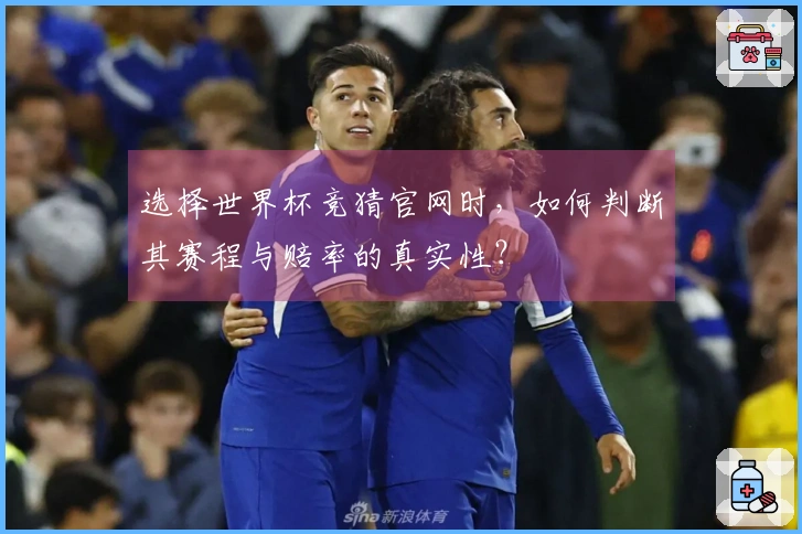 选择世界杯竞猜官网时，如何判断其赛程与赔率的真实性？