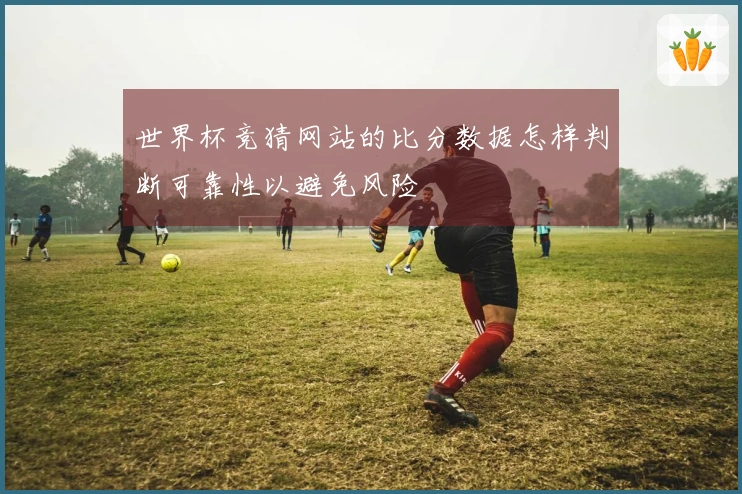 世界杯竞猜网站的比分数据怎样判断可靠性以避免风险