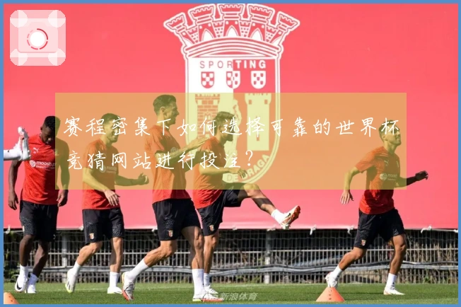 赛程密集下如何选择可靠的世界杯竞猜网站进行投注？