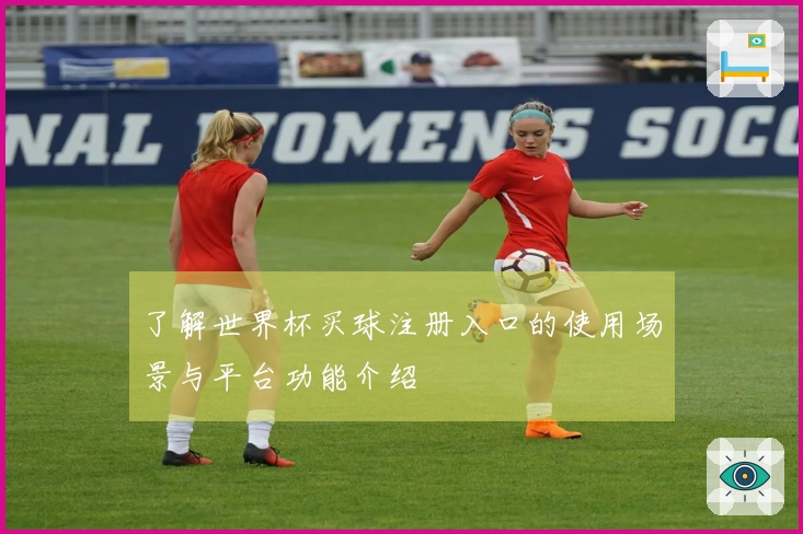 了解世界杯买球注册入口的使用场景与平台功能介绍