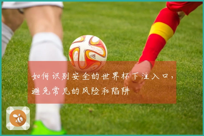 如何识别安全的世界杯下注入口，避免常见的风险和陷阱