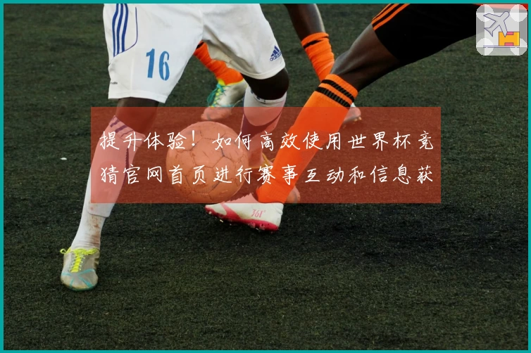 提升体验！如何高效使用世界杯竞猜官网首页进行赛事互动和信息获取